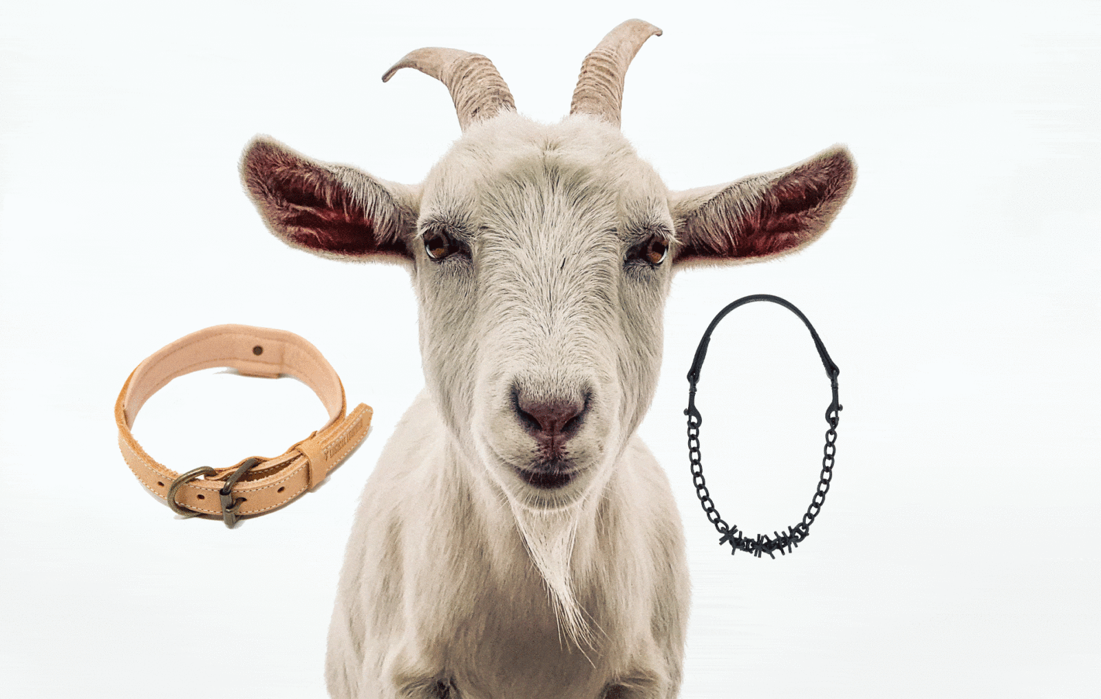 Weaver Leather White Plastic Goat Chain - Medium