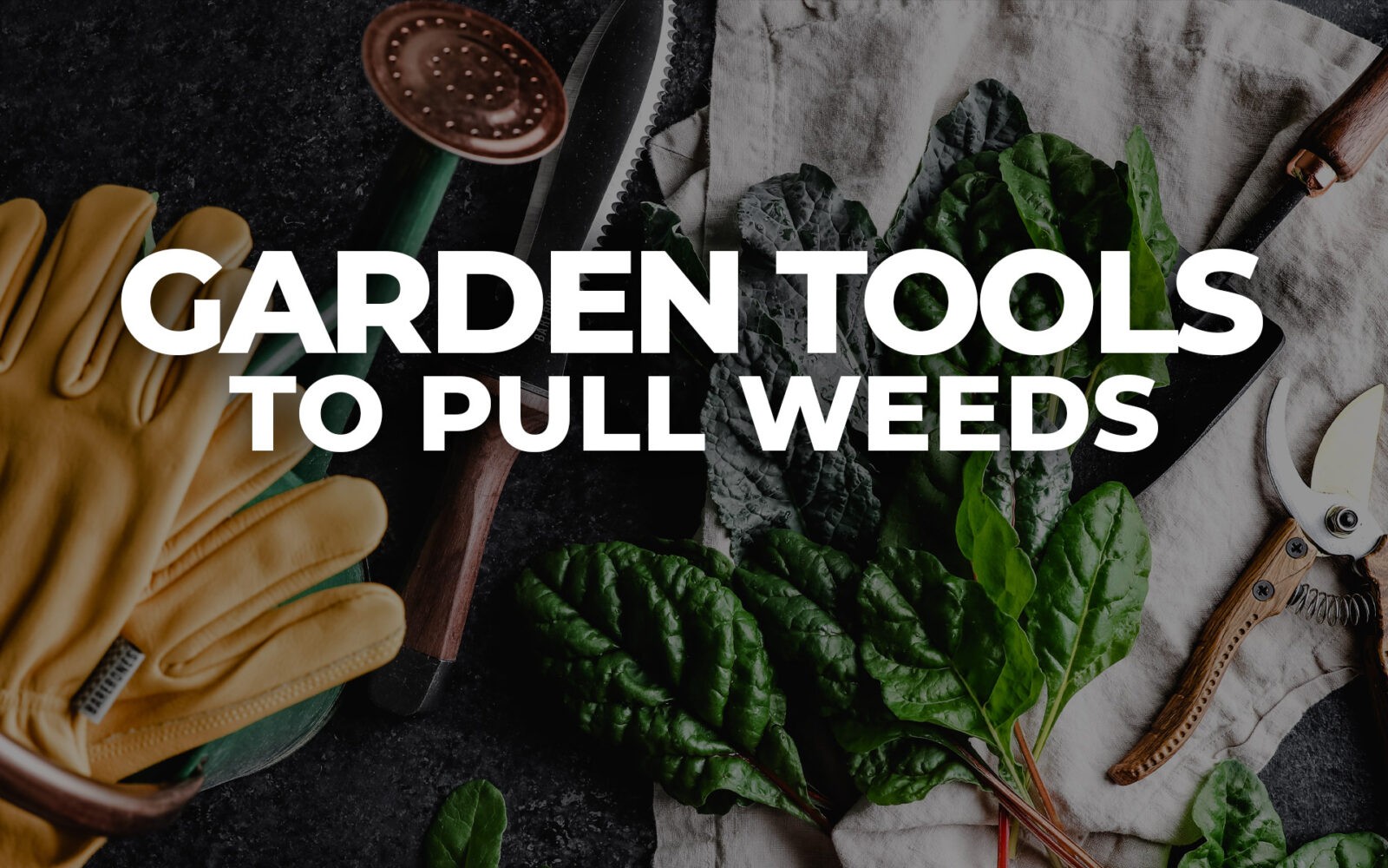 Our most used garden tools to pull weeds