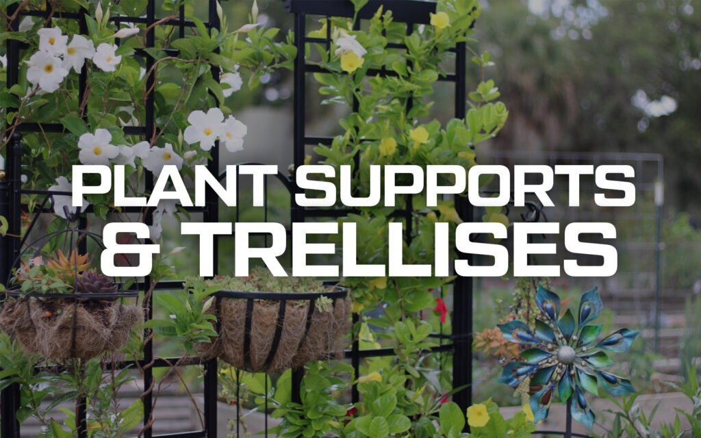 Plant supports and trellises