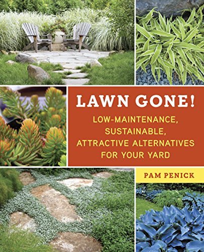 Garden Oasis: Top Xeriscaping Resources for a Water-Wise Landscape